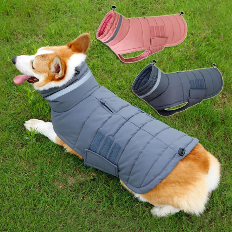 Arvello™ ThermoShield Elite Waterproof Dog Coat for Winter